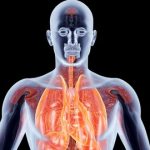 9 cara membersihkan paru paru secara alami efektif dan mudah dilakukan