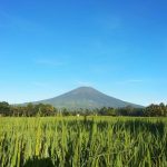 IMG 20211015 WA0078