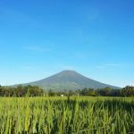 IMG 20211026 WA0060