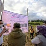 Pembangkit Listrik Tenaga Bayu Dekat Ciletuh Pak Uu Harap Tambah Potensi Ekonomi Daerah