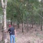 IMG 20211111 WA0012
