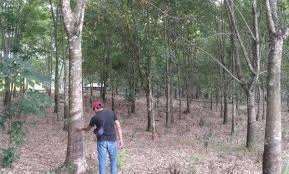 IMG 20211111 WA0012