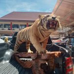IMG 20211122 WA0053