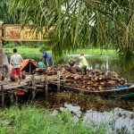 Jambi Bongkar Muat Sawit 06484 1