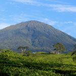 IMG 20220107 WA0068