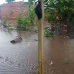 IMG 20220114 WA0064