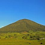 IMG 20220117 WA0038