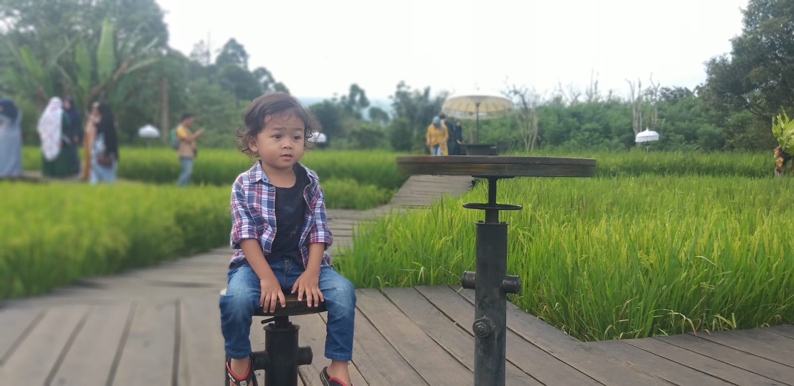IMG 20220202 WA0008