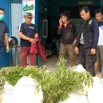 IMG 20220203 WA0011