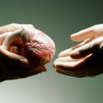 Transplantasi Organ