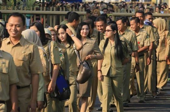 pns 560x368 1