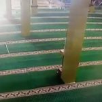 IMG 20220301 WA0017