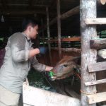 IMG 20220313 WA0003
