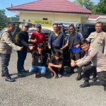 IMG 20220317 WA0007 1