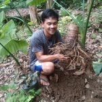 IMG 20220318 WA0002