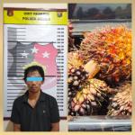 photostudio 1648828083360