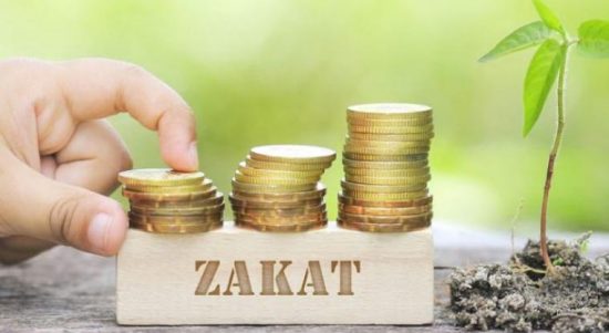 titiknol 19q zakat