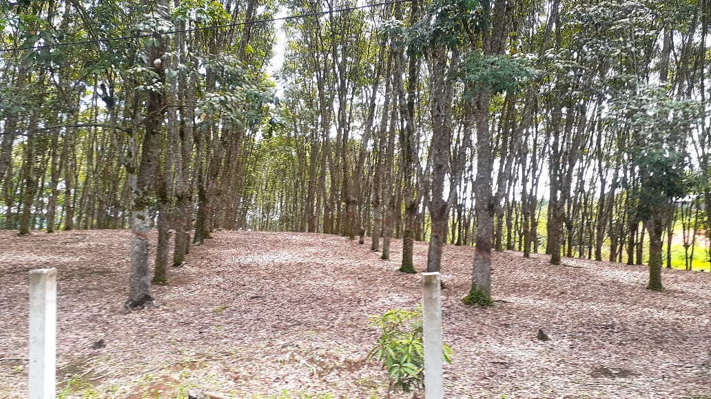 IMG 20220517 WA0020 1