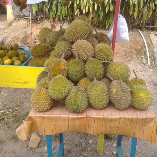 IMG 20220521 WA0000