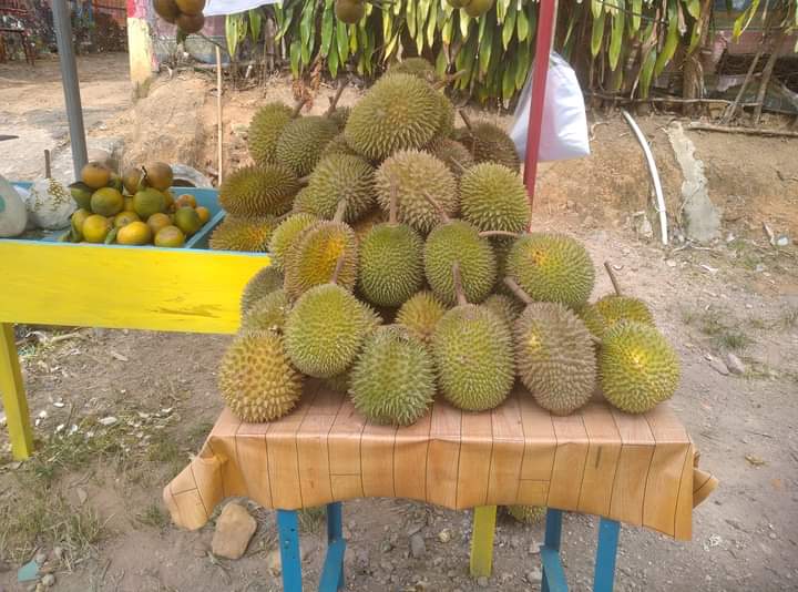 IMG 20220521 WA0000