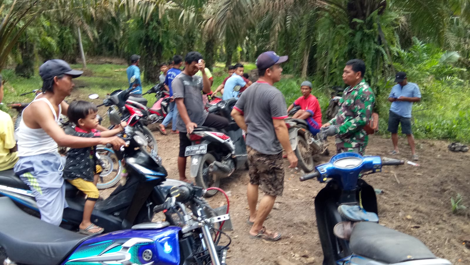 IMG 20220707 WA0019