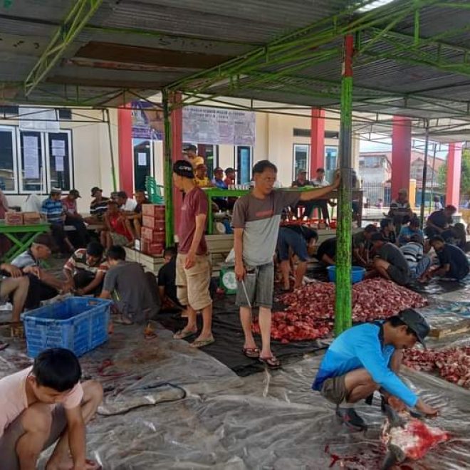 Idul Adha di Pagar Alam, 418 Hewan Dikurbankan IMG 20220711 WA0008