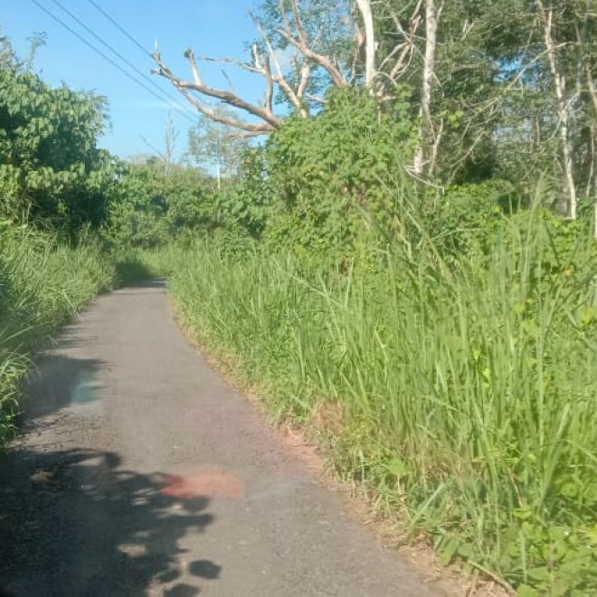 IMG 20220712 WA0005