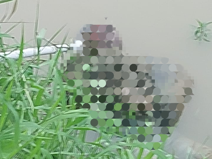 IMG 20220915 185938