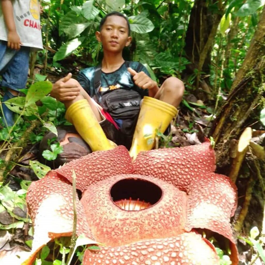 IMG 20221027 WA0059