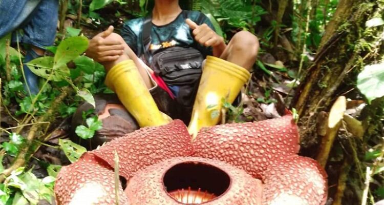 IMG 20221027 WA0059