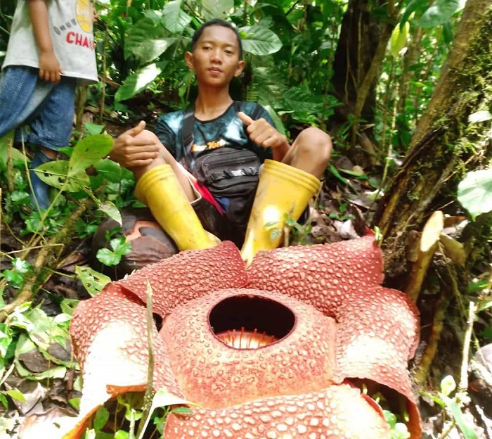IMG 20221027 WA0059