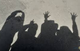 images8 1