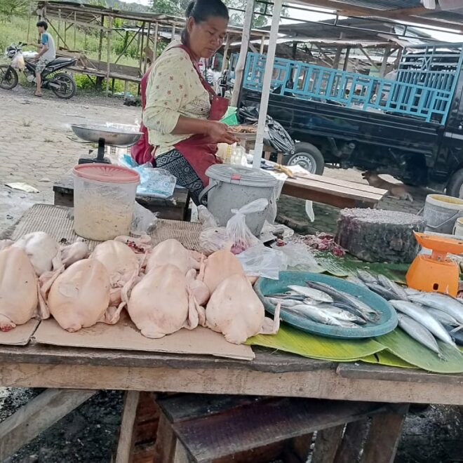 IMG 20221117 WA0018 1