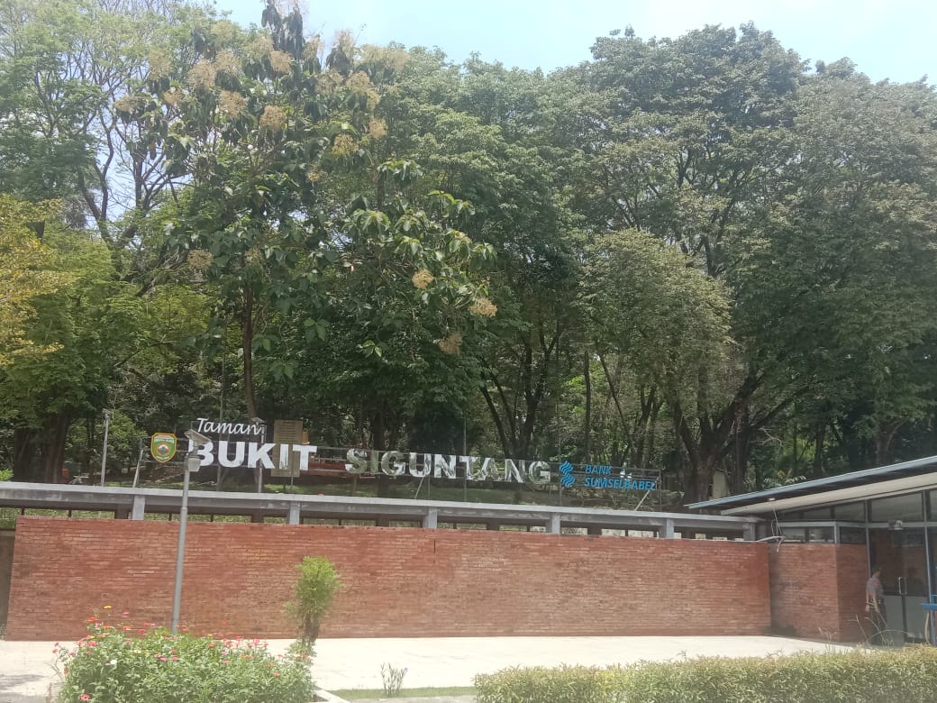 Cerita Penjaga Makam di Bukit Siguntang, Tak Pernah Terima Gaji