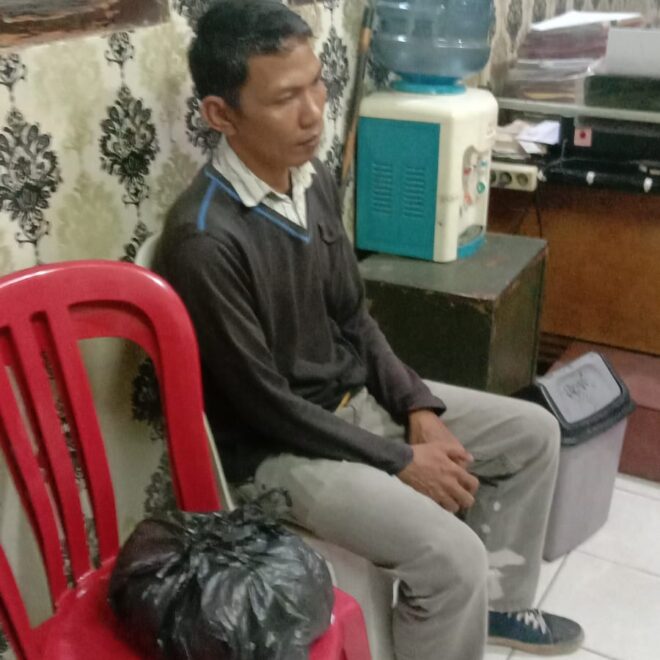 IMG 20221219 WA0022