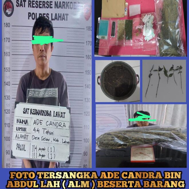 IMG 20230124 WA0137