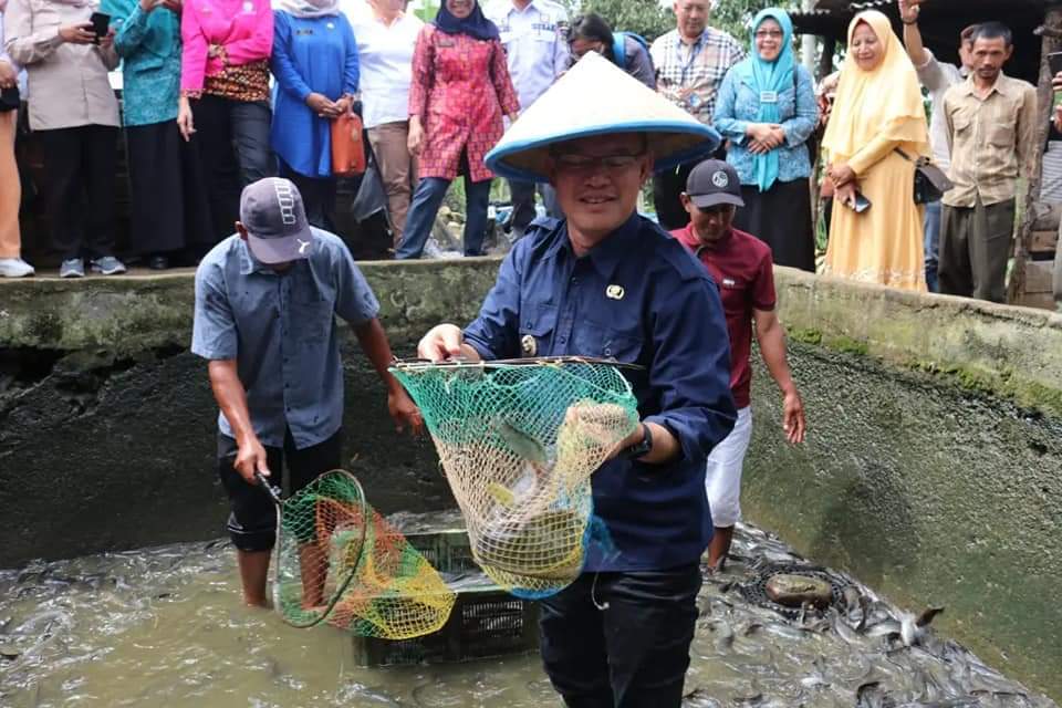 IMG 20230127 WA0051