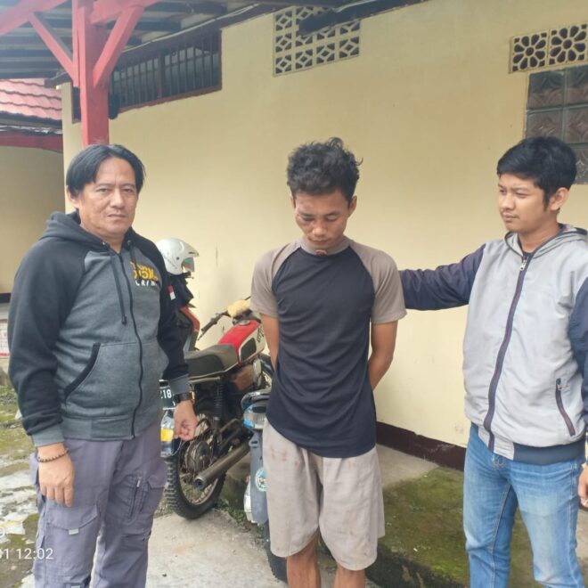 IMG 20230131 WA0043 1