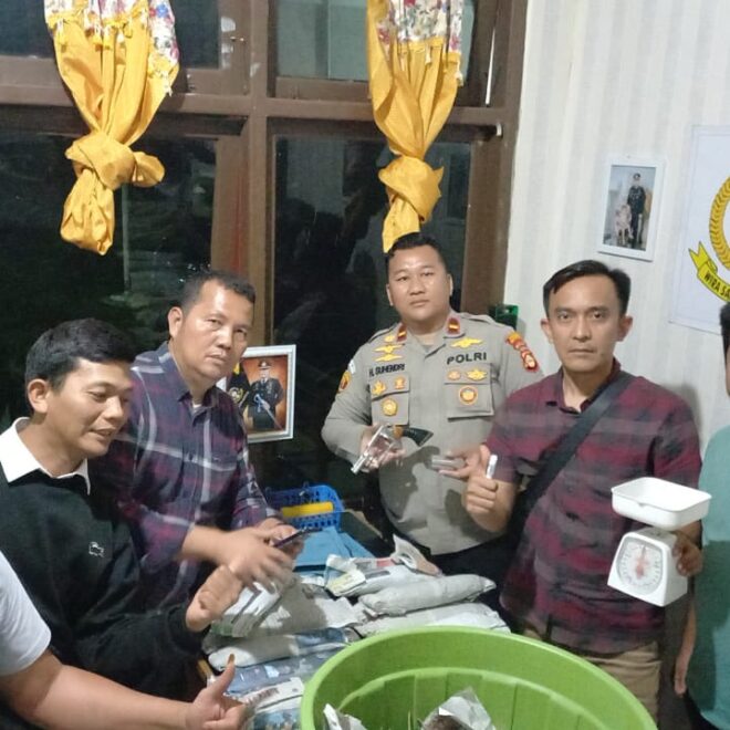 IMG 20230311 WA0019