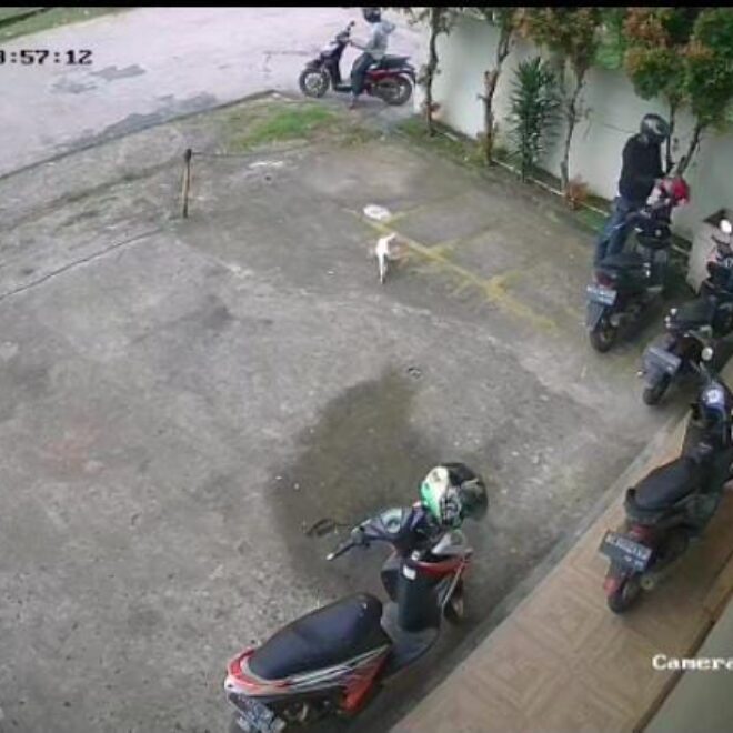 IMG 20230324 WA0063