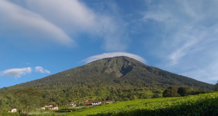 IMG 20230726 WA0107