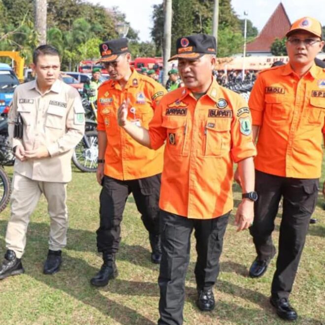 ini lho hukuman bagi pembakar hutan dan lahan