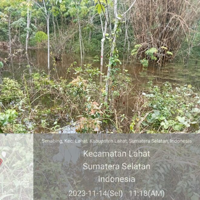 IMG 20231116 WA0025