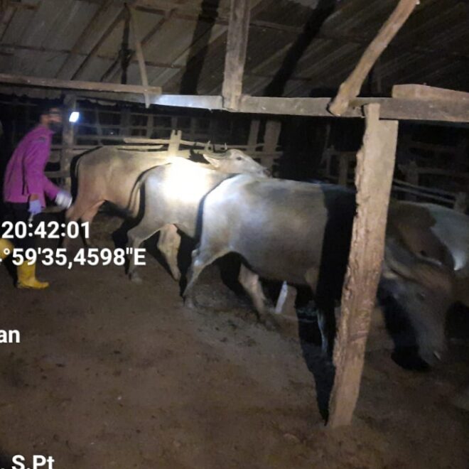 IMG 20240417 WA0020 1