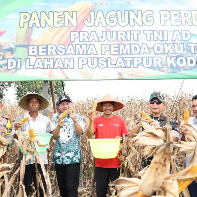 Panen jagung perdana Prajurit TNI AD bersama Pemerintah Daerah OKU Timur di lahan Puslatpur Kodiklat AD Desa Sabalio Kecamatan Bunga Mayang, pada Selasa (11/02/2025). 