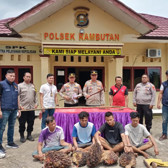 IMG 20250211 WA0075