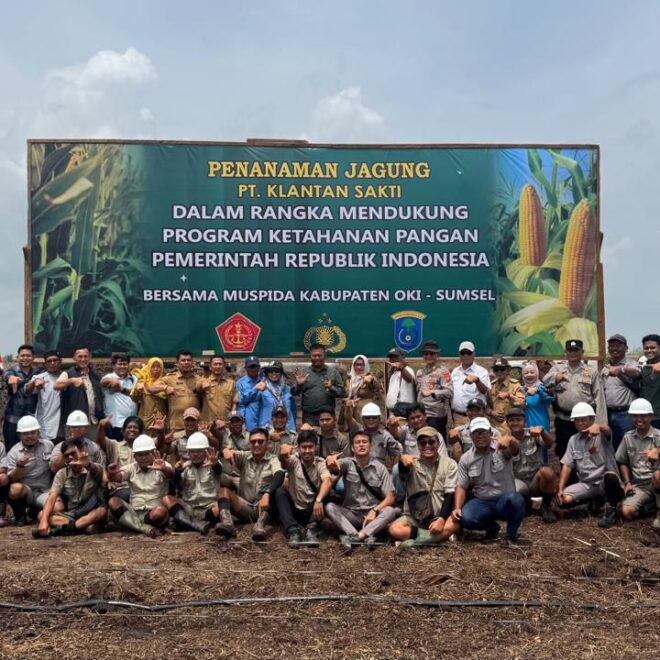 IMG 20250212 WA0019