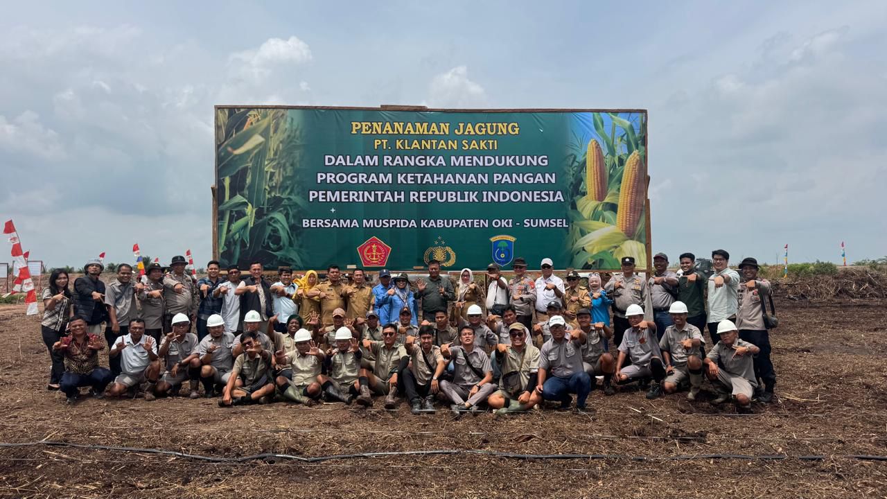 IMG 20250212 WA0019