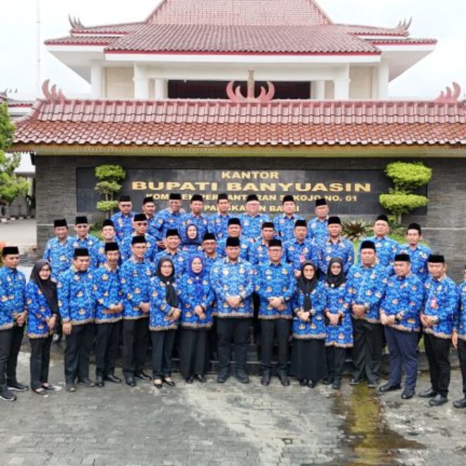 IMG 20250217 WA0146