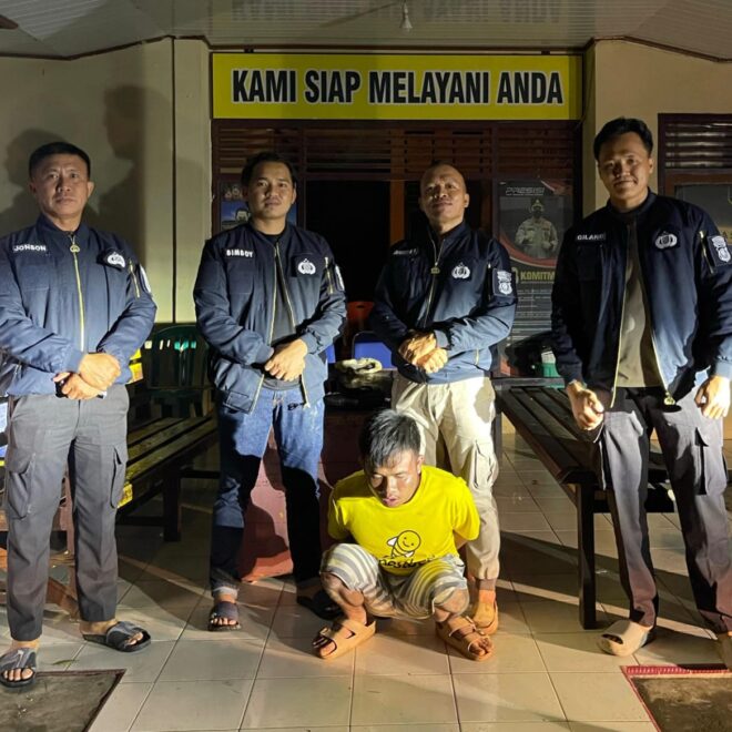 IMG 20250310 WA0060